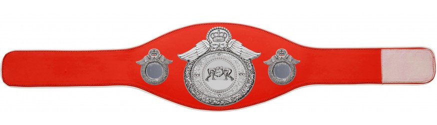 GRAPPLING CHAMPIONSHIP BELT-PROWING/S/GRAPPS-6+ COLOURS